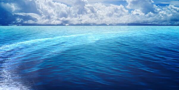 世界海洋日是哪天(世界海洋日在几月几日)